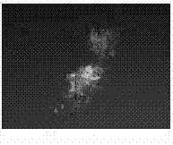 gE- and gI-deleted porcine pseudorabies virus variant strain and use thereof