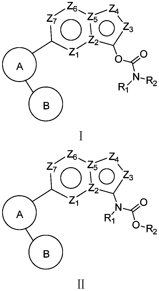 Carbamate compound, pharmaceutical composition and application of carbamate compound