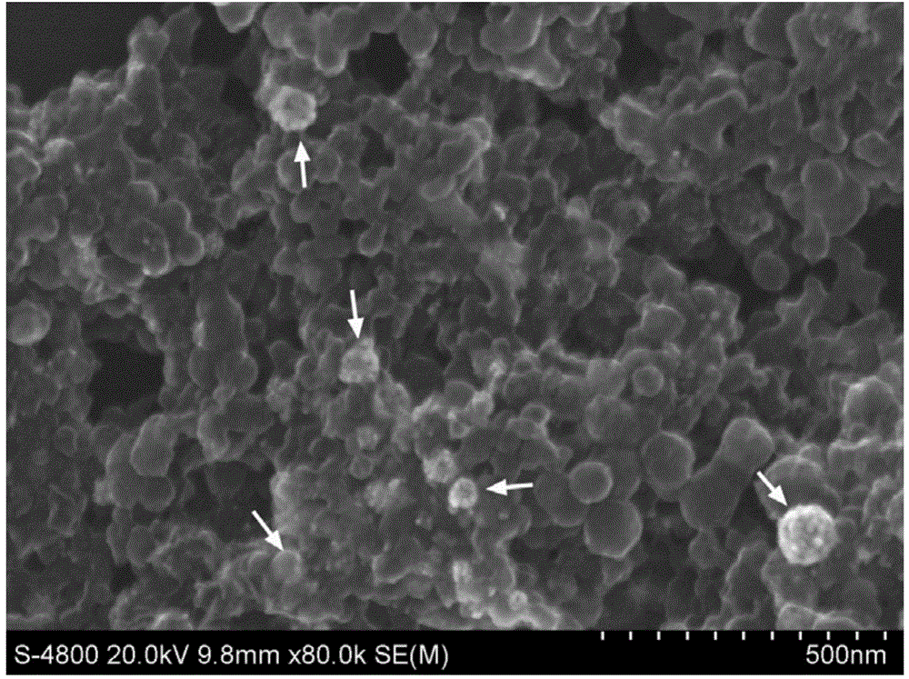 Single-wall carbon nanohorn-hollow gold nanocomposite and preparation method thereof