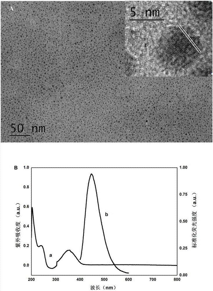 Method for quantitatively detecting glial fibrillary acidic protein (GFAP) in blood serum