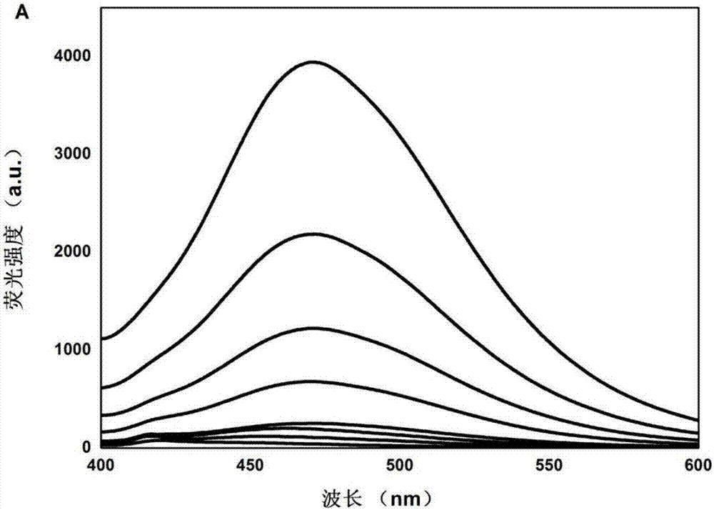 Method for quantitatively detecting glial fibrillary acidic protein (GFAP) in blood serum