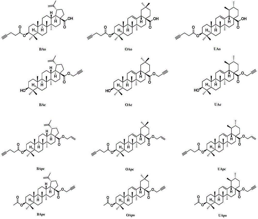 Triterpene-polypeptide conjugate, drug composition and uses thereof