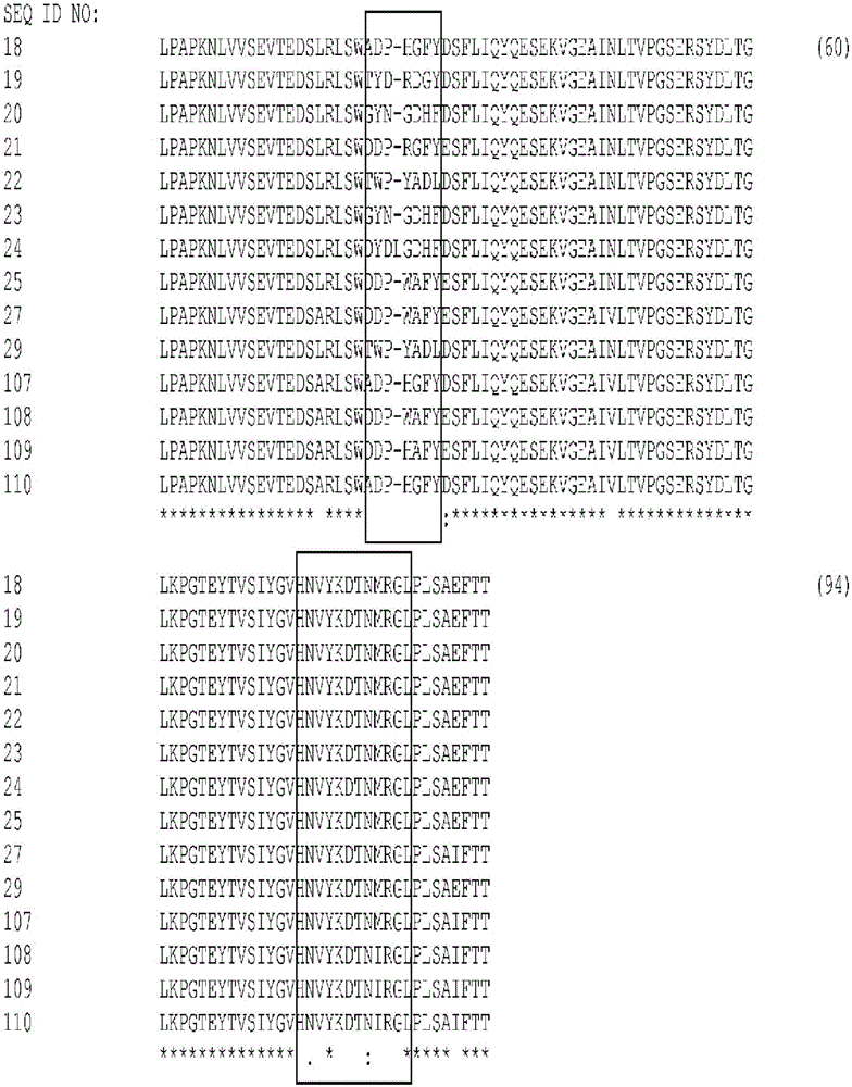 Cysteine engineered fibronectin type III domain binding molecules