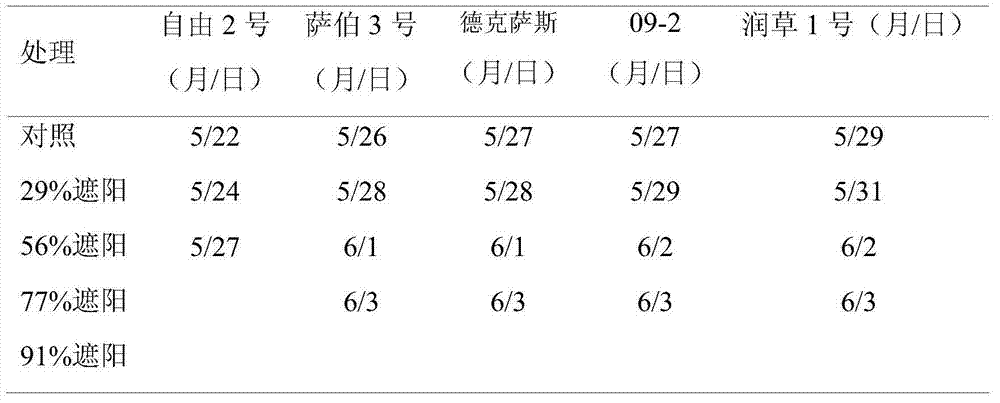 Method for planting runcao I on large shade condition