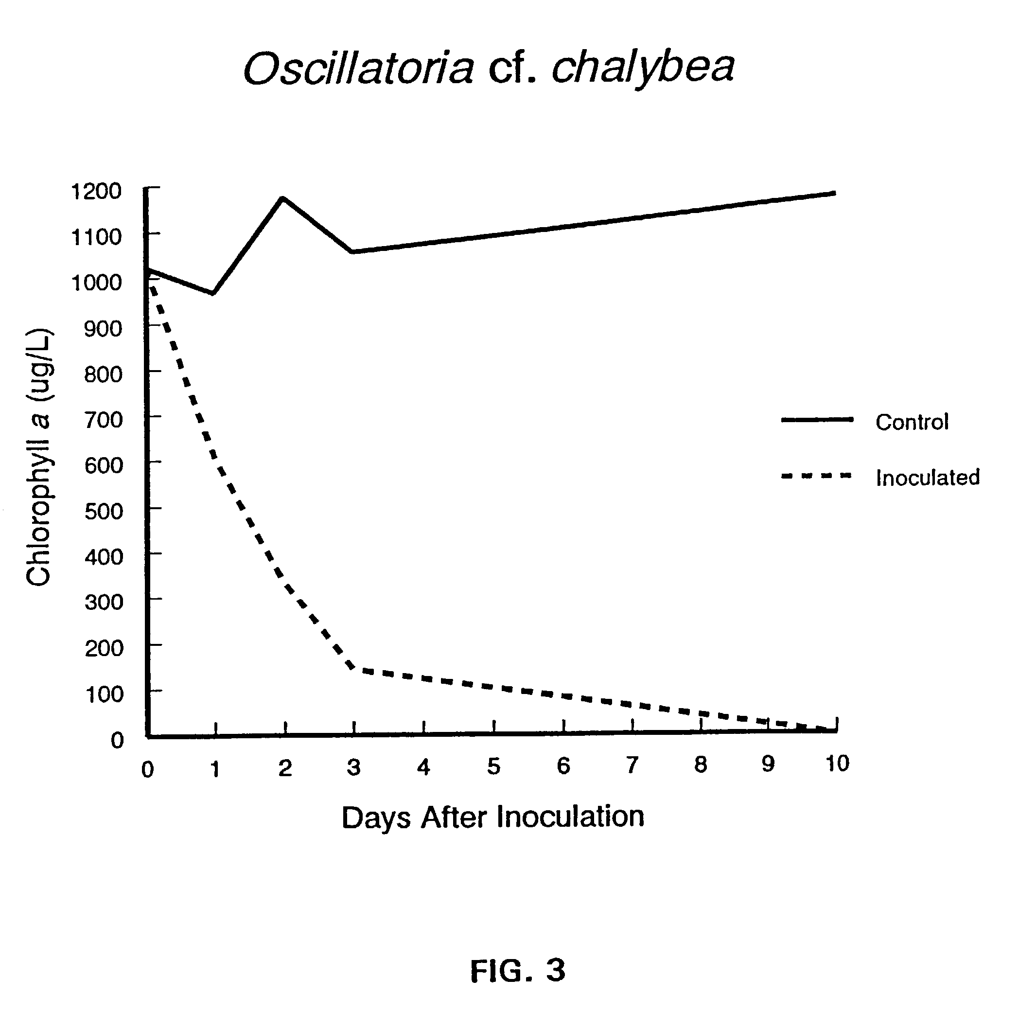 Bacterium NRRL B-30043 for controlling algae