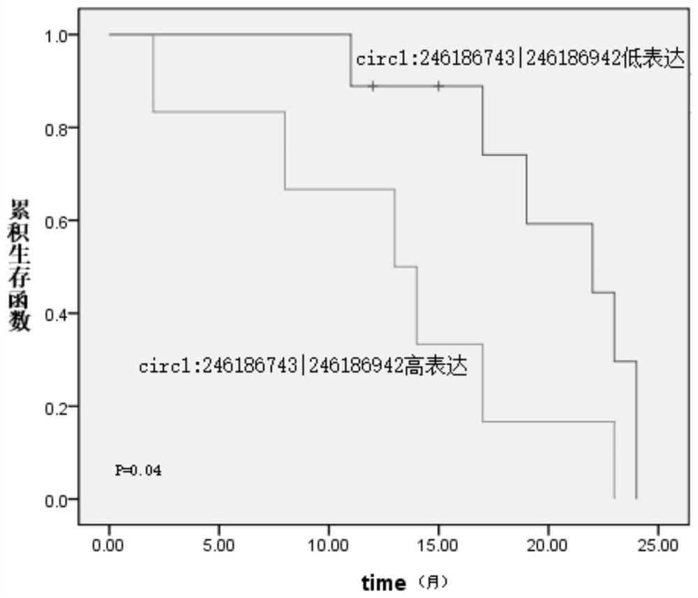 Glioma prognostic marker circ1:246186743|246186942 and its application