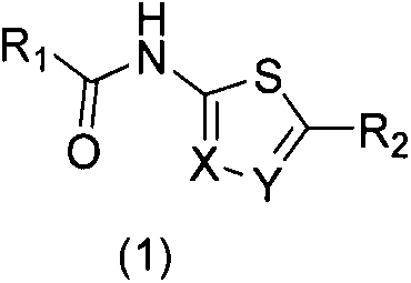 Medical application of n-(thiophene-2)amide derivatives in pyrazinamide-resistant tuberculosis and tuberculosis treatment