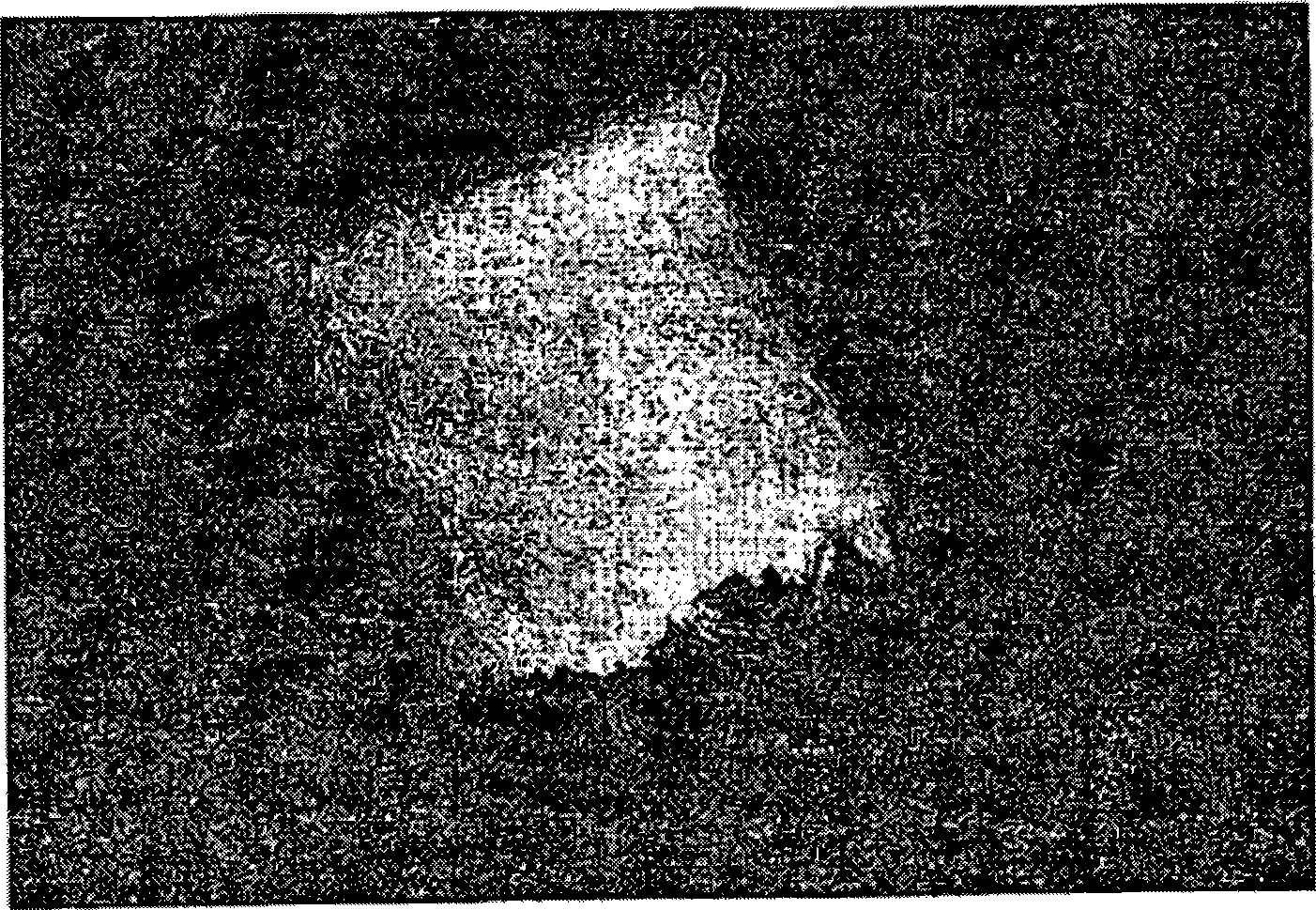 Melt fabrication of fiber-filled fluoropolymer