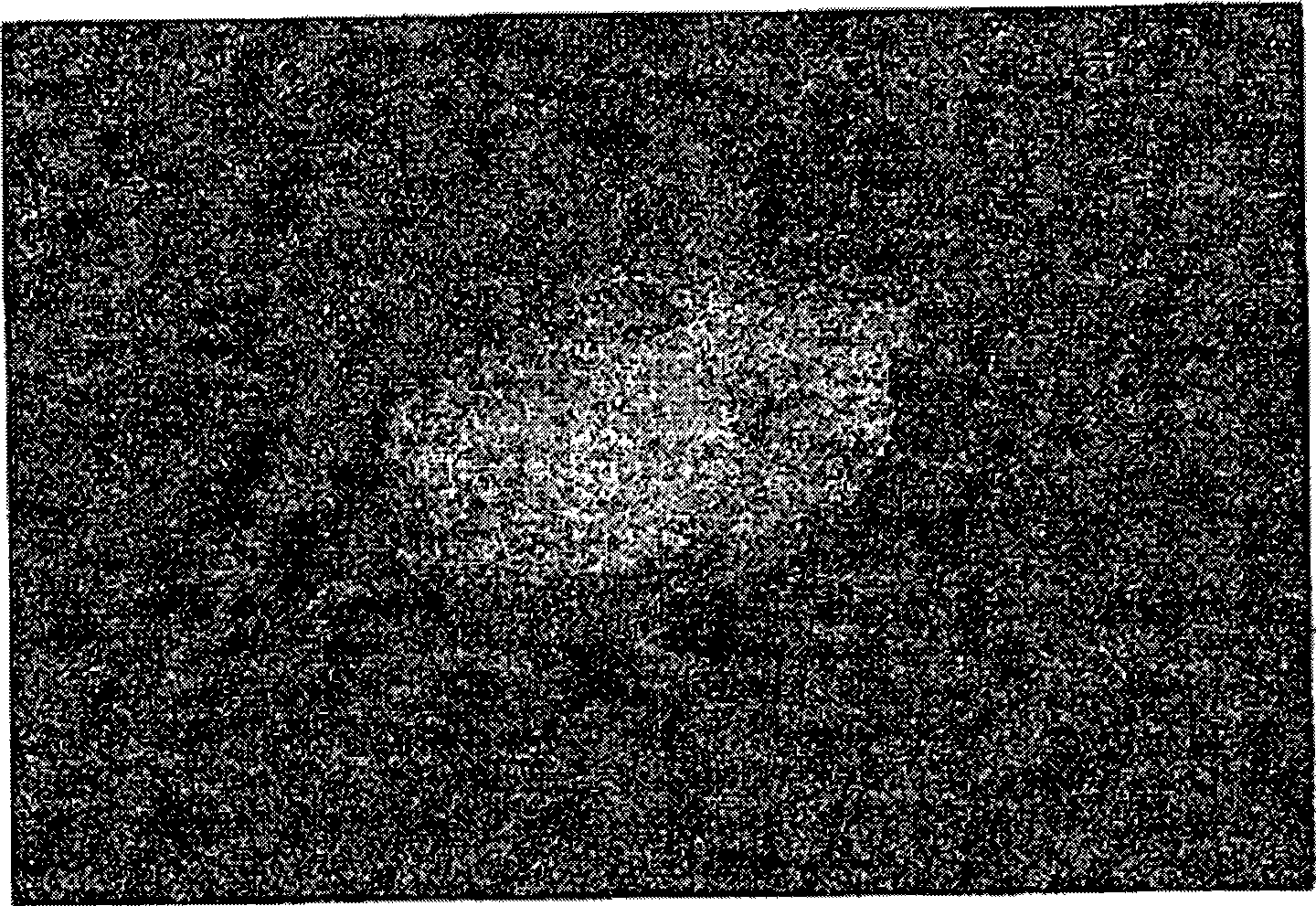 Melt fabrication of fiber-filled fluoropolymer