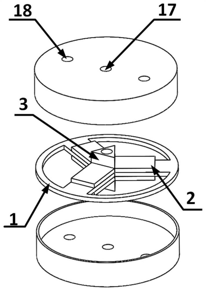 A High Performance Piezoelectric Accelerometer with Ring Beam Structure