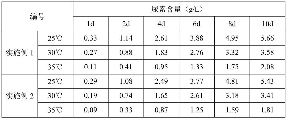 A kind of high-yield and high-efficiency Clover container seedling raising method