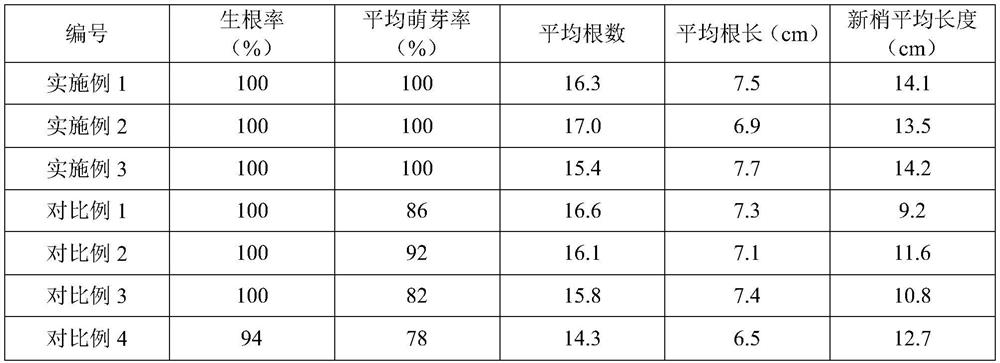 A kind of high-yield and high-efficiency Clover container seedling raising method