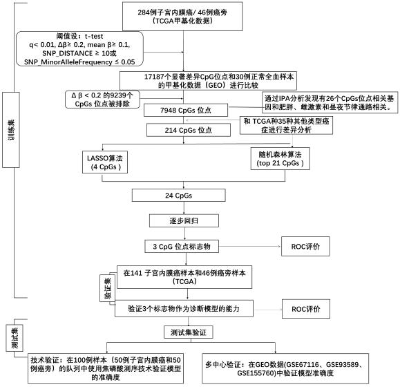 Detection kit for TMEM101 gene methylation in human peripheral blood circulating tumor DNA for early screening of endometrial cancer