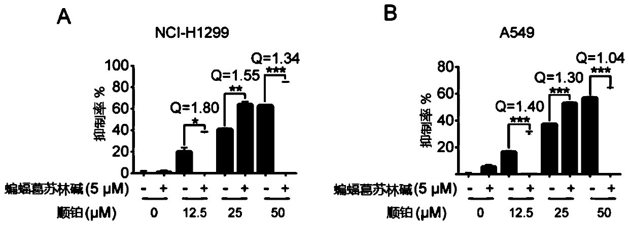 Composition for treating lung tumors