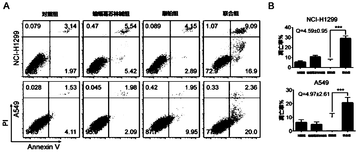 Composition for treating lung tumors