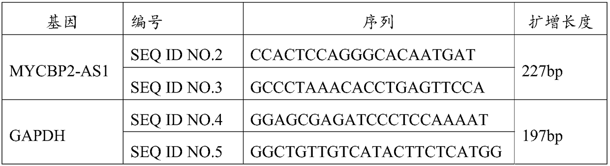 Application of MYCBP2-AS1 in preparation of products for diagnosis and treatment of cervical cancer