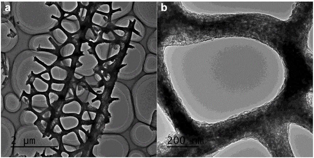 Method for preparing carbon-based electrocatalyst from insect wing