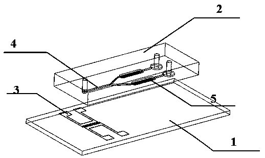 Microfluidic cell-sorting chip integrated with single-cell capture