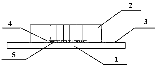 Microfluidic cell-sorting chip integrated with single-cell capture