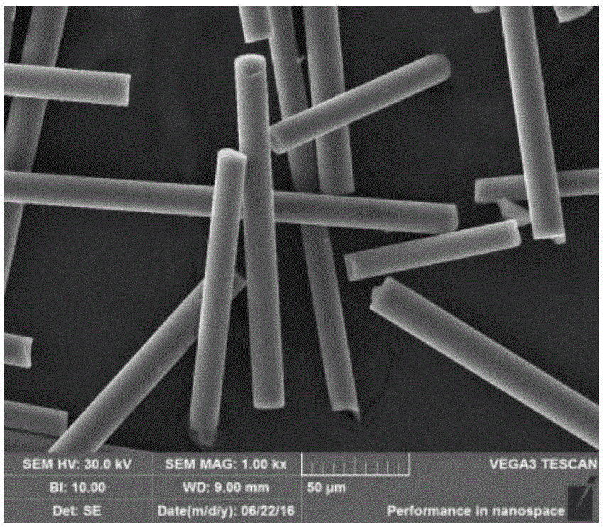 Preparation device, preparation method and application of plasma-modified glass fiber