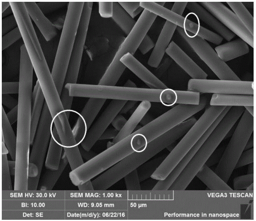 Preparation device, preparation method and application of plasma-modified glass fiber