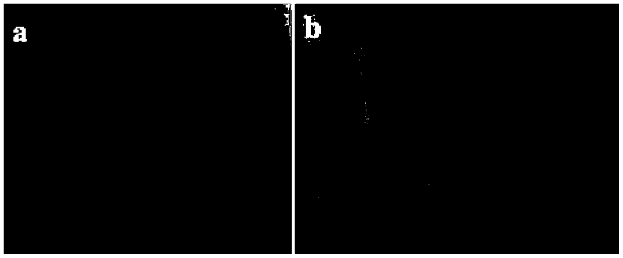 Preparation method of magnesium oxide porous nano-material supported activated carbon fiber felt