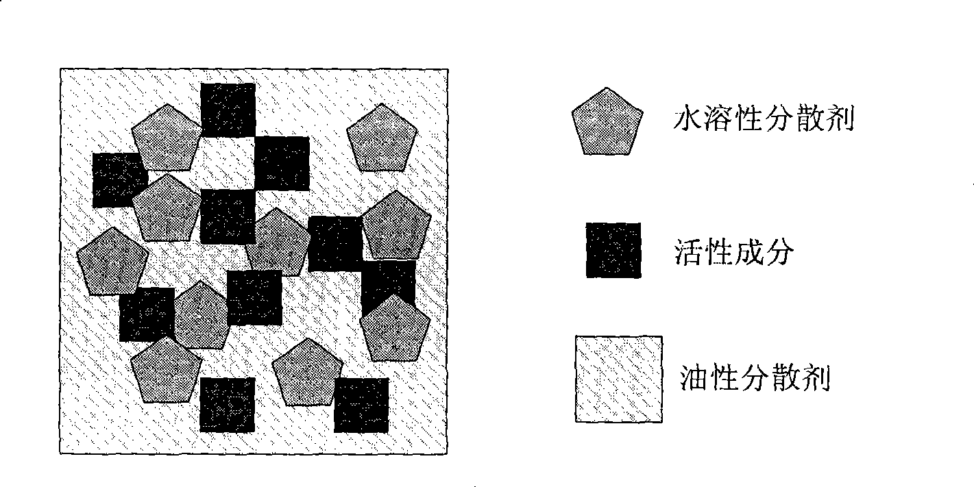 Oral cavity rapid release western medicine preparation and preparation thereof