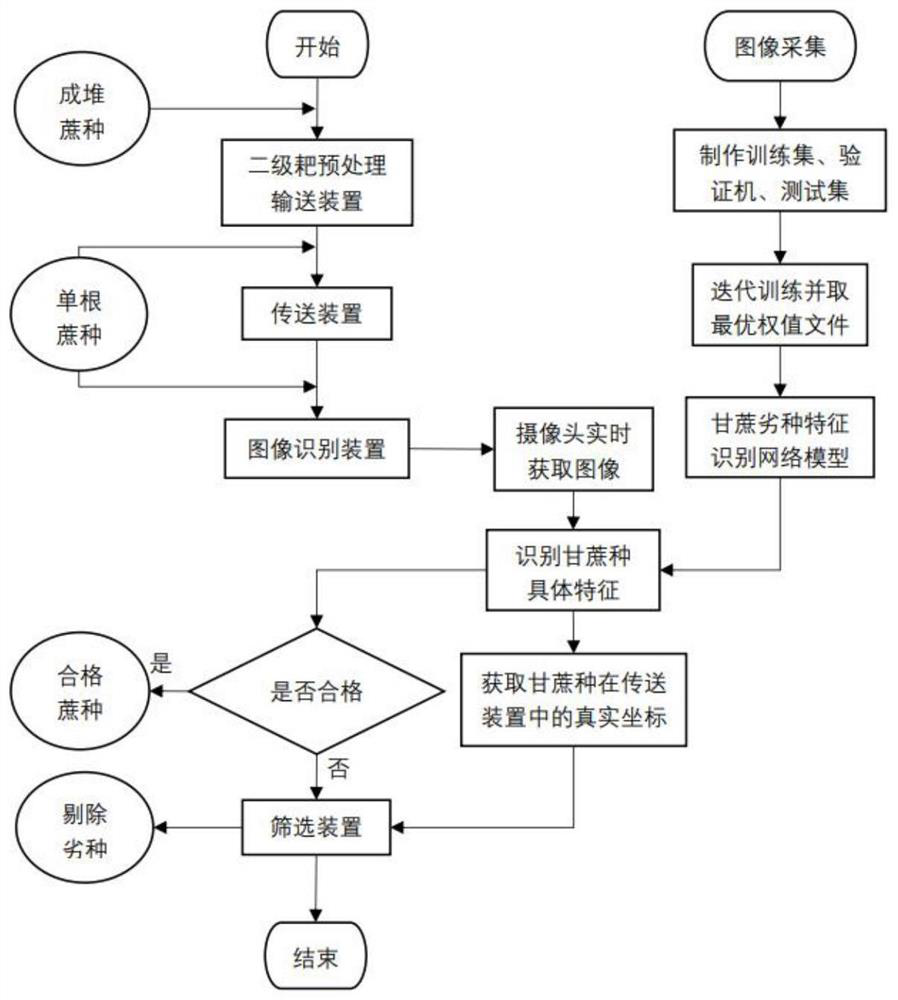 Sugarcane seed screening system and method based on deep learning