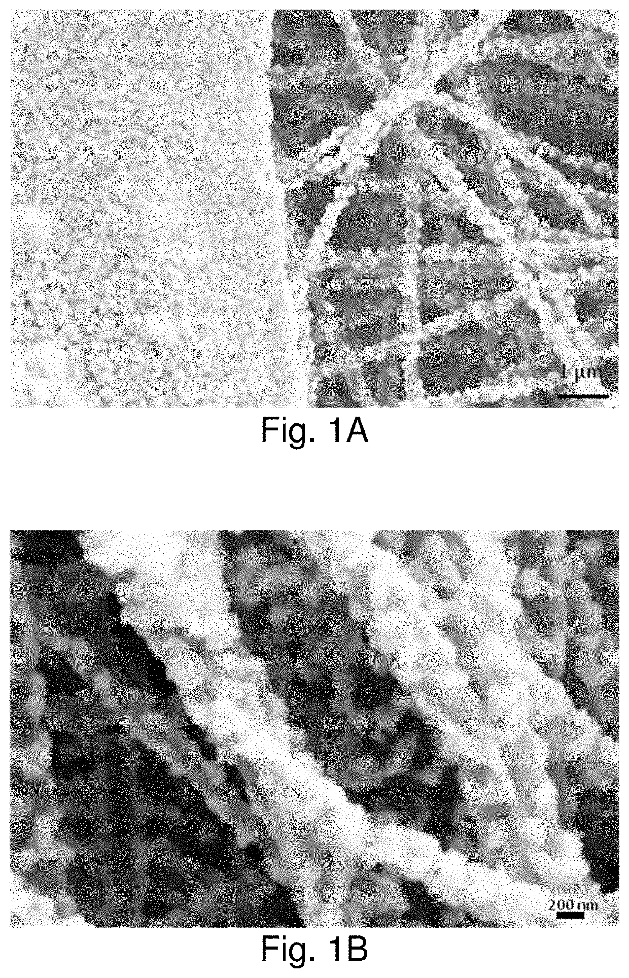 Nanoparticle sensor having a nanofibrous membrane scaffold