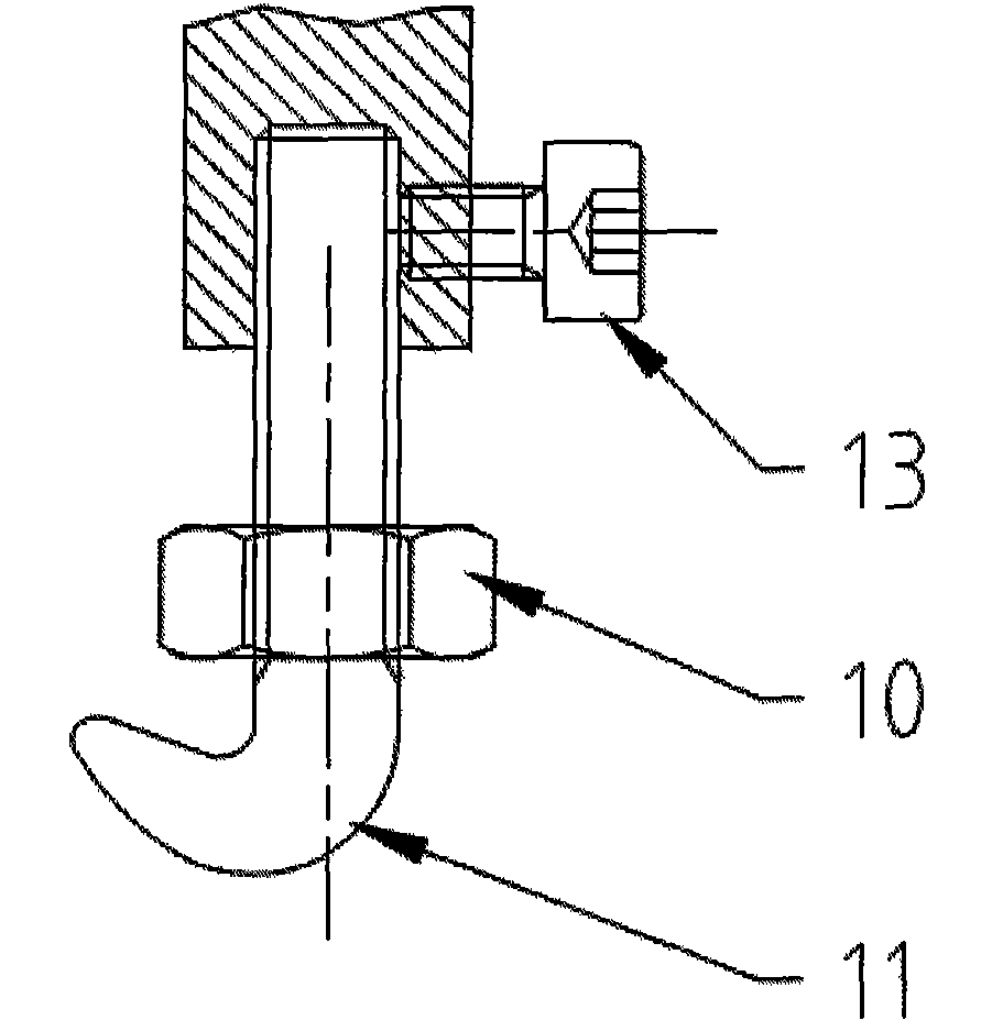 Elastic skin expander and skin traction system and hook rod fixing system thereof