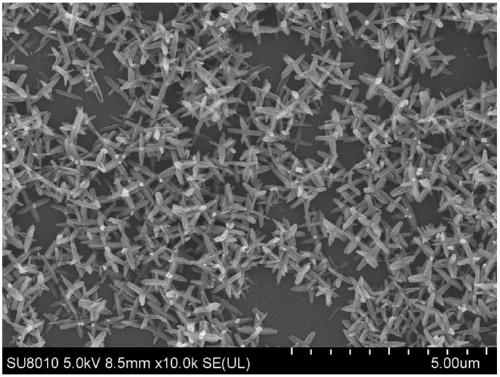 Method of synthesizing and preparing zeolitic imidazolate framework material ZIF-8 nanometer six-foot body by using seed growth