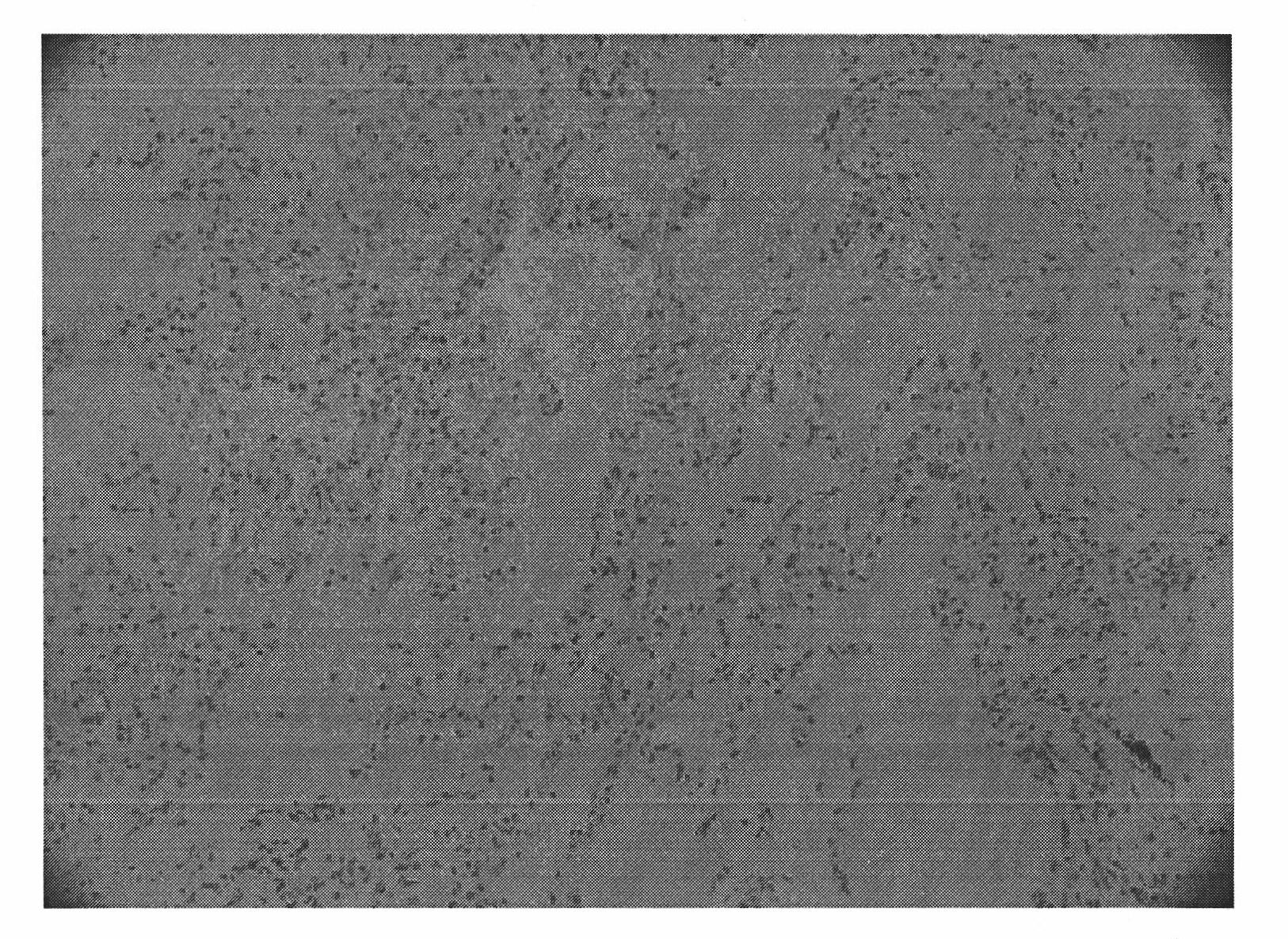 Method for screening tumor specificity target and targeting ligand based on tissue chip