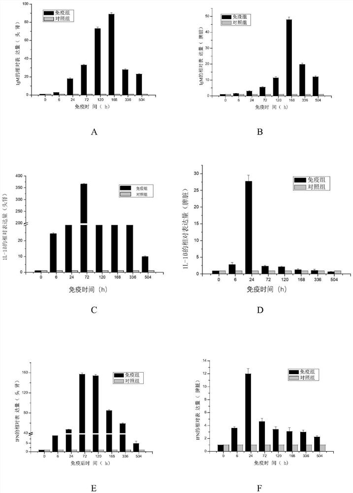 A kind of grass carp bacterial septicemia and red skin disease combined vaccine and preparation method thereof