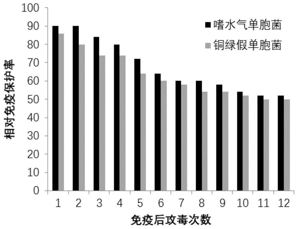 A kind of grass carp bacterial septicemia and red skin disease combined vaccine and preparation method thereof