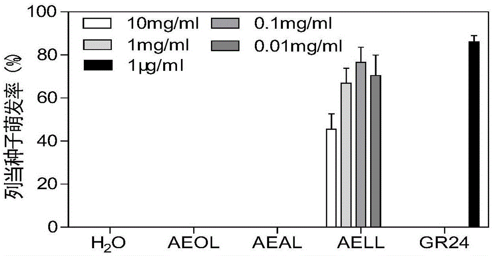 Application of lily leaf leaching liquor in control of parasitic weeds