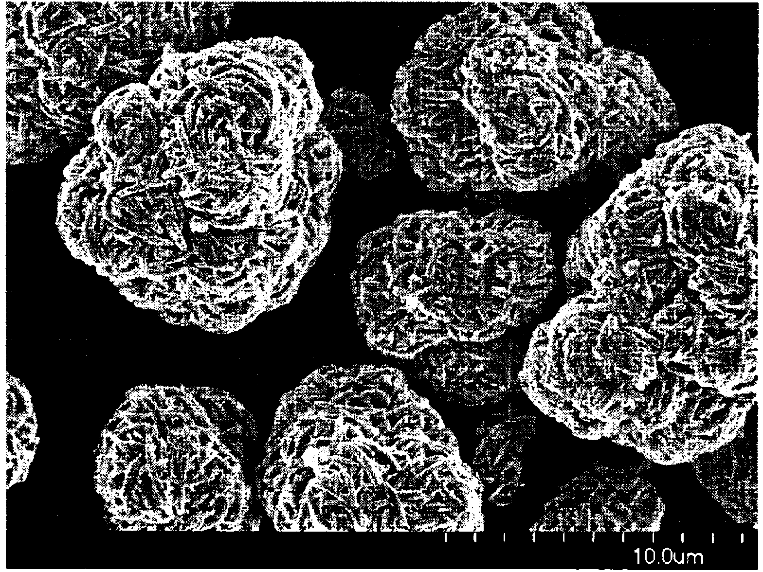 Nickel composite hydroxide and process for producing same, positive active material for nonaqueous-electrolyte secondary battery and process for producing same, and nonaqueous-electrolyte secondary battery