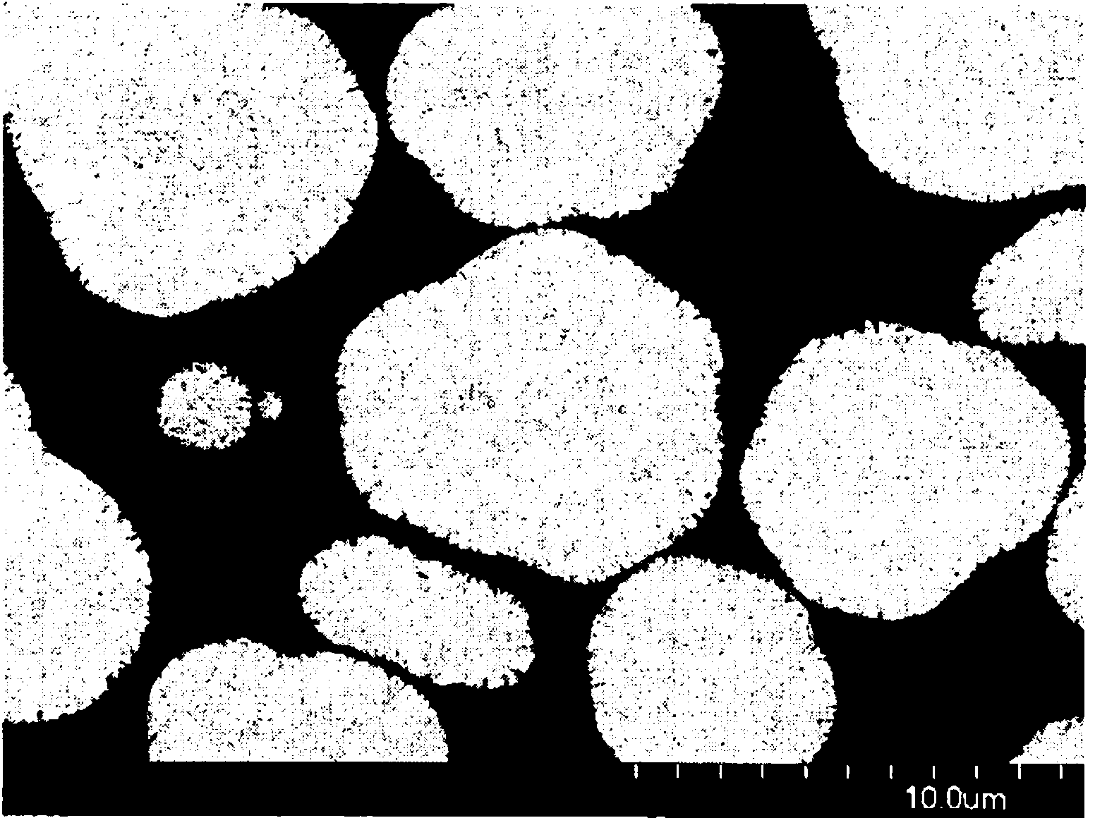 Nickel composite hydroxide and process for producing same, positive active material for nonaqueous-electrolyte secondary battery and process for producing same, and nonaqueous-electrolyte secondary battery