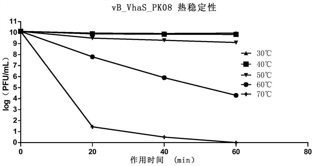 Vibrioharveyi bacteriophage, and bacteriophage composition and application thereof