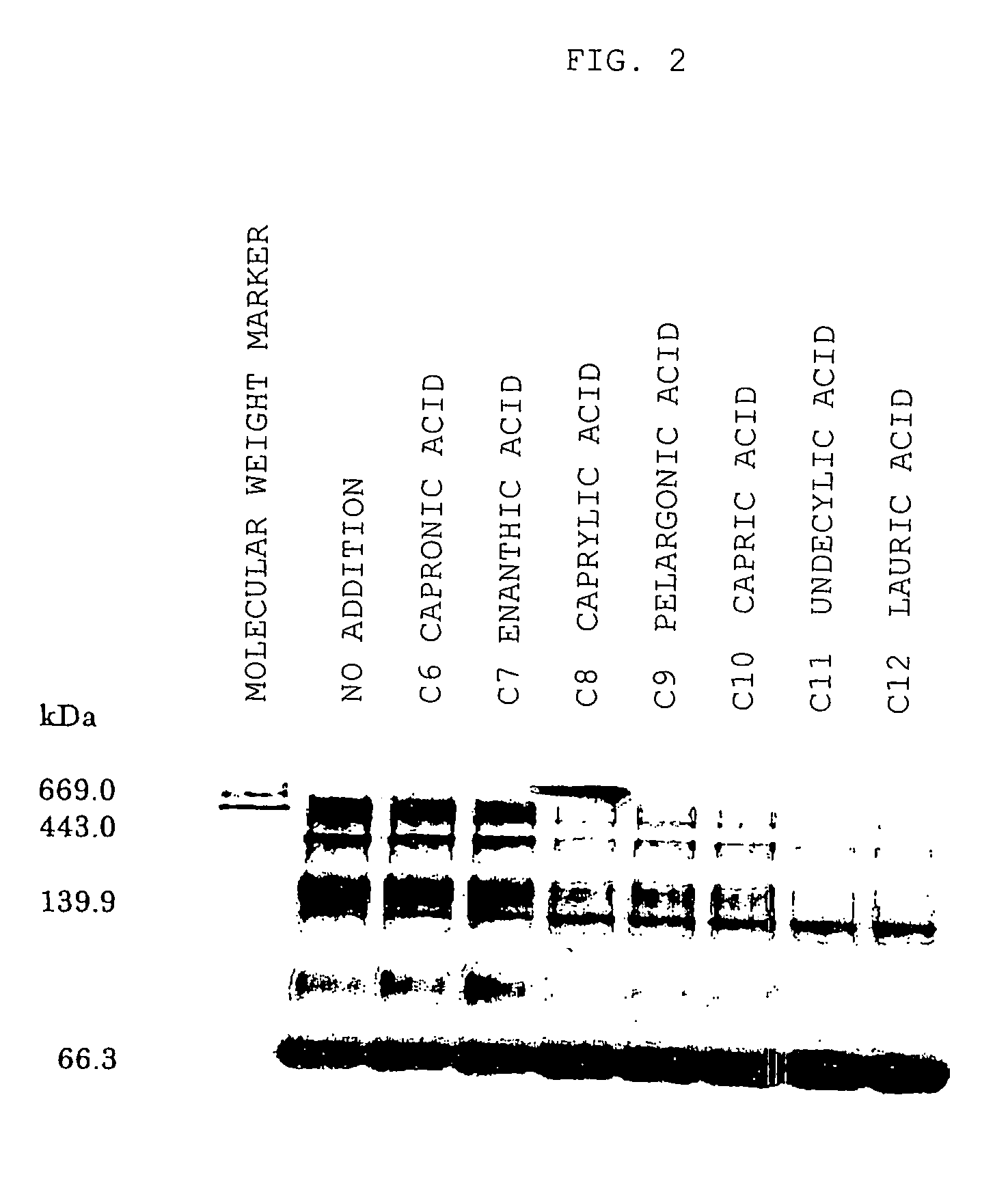 Stabilized albumin preparations