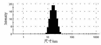 Thymol nano-medicament and preparation method thereof