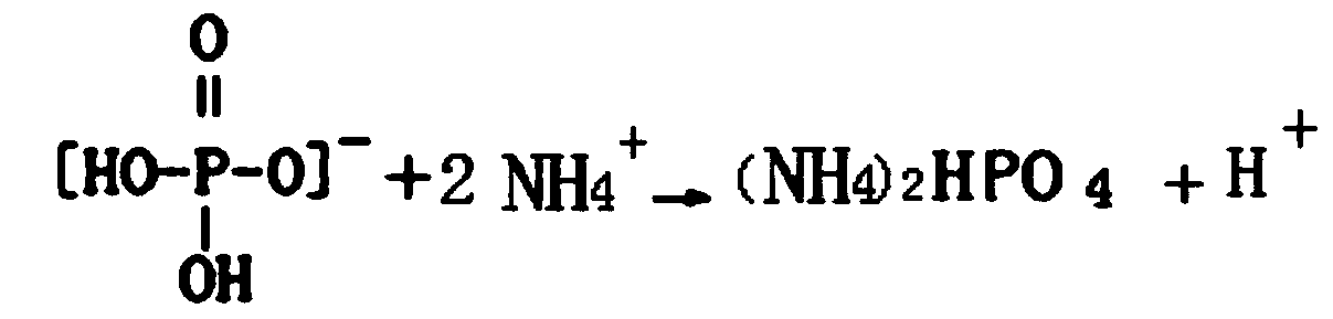 Production method for preparing diammonium hydrogen phosphate and byproduct special fertilizer for oats