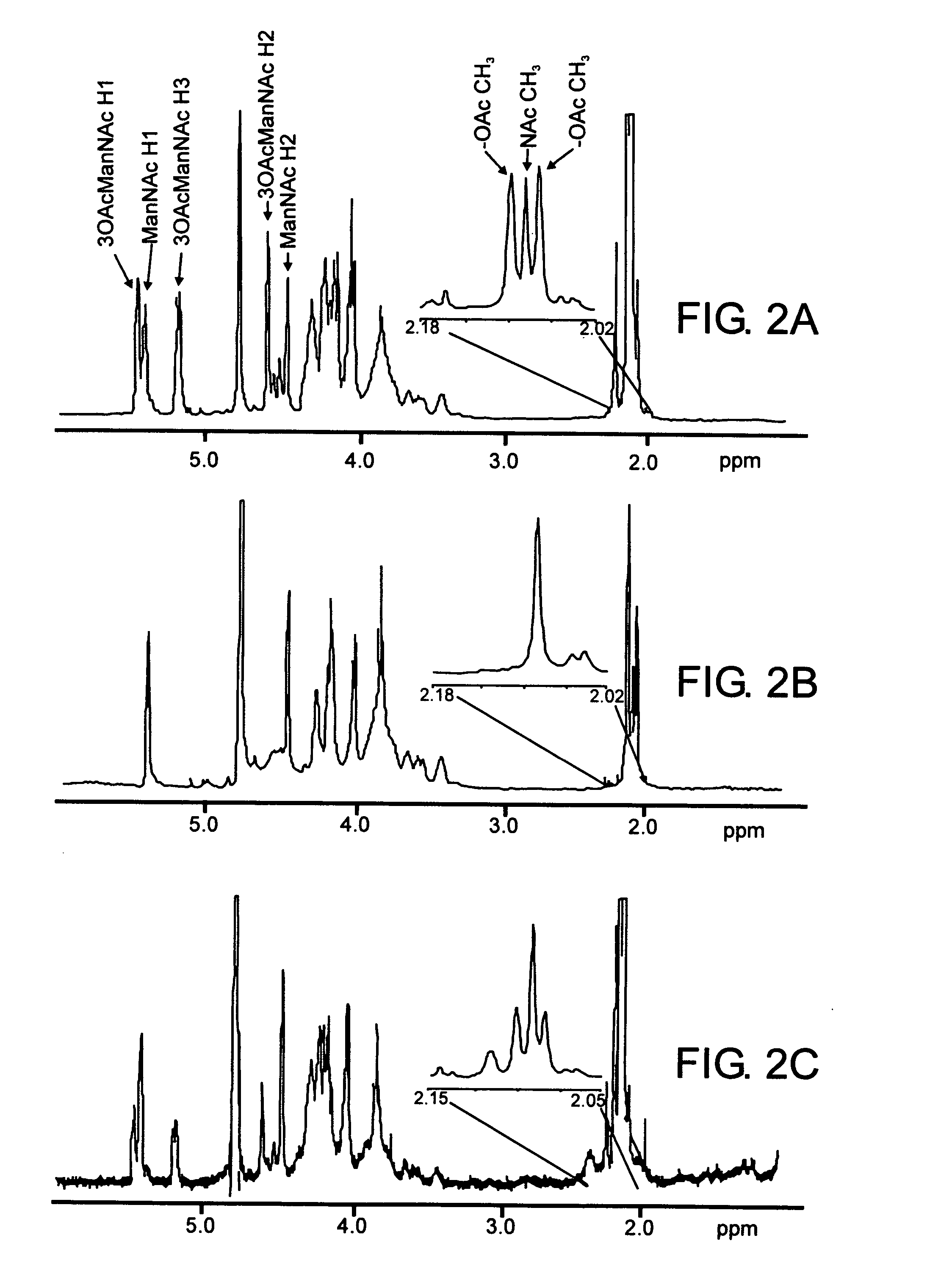 Neisseria meningitidis serogroup a capsular polysaccharide acetyltransferase, methods and compositions