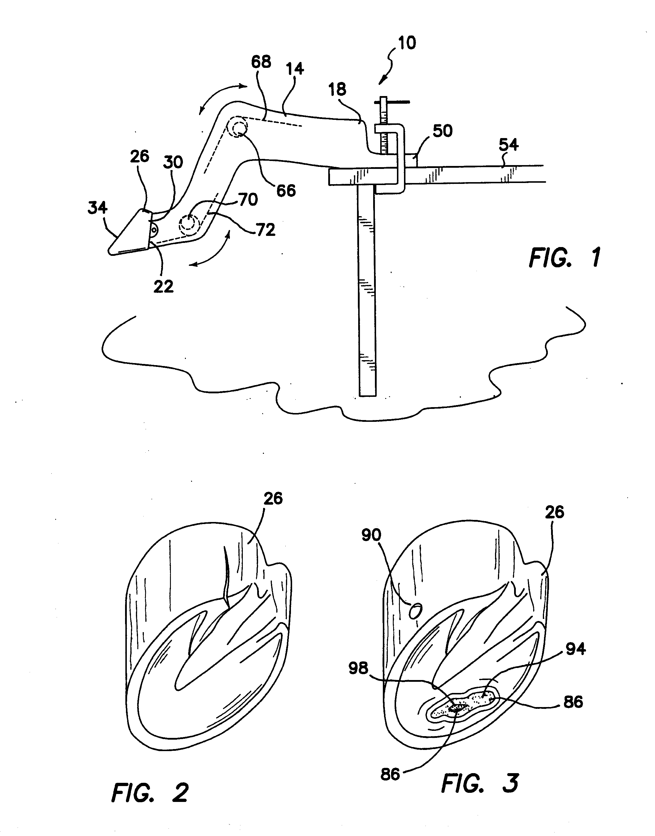 Farrier training system