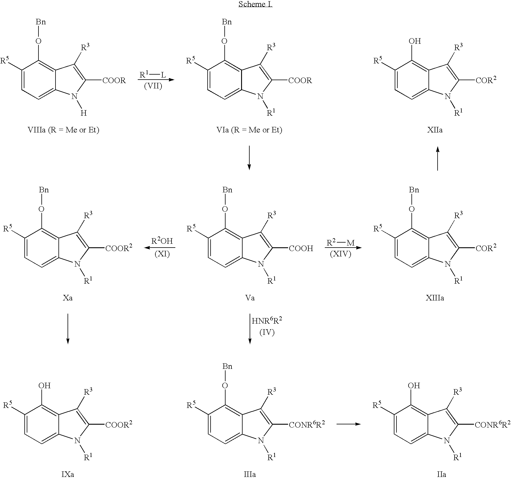 Positive modulators of nicotinic receptor agonists