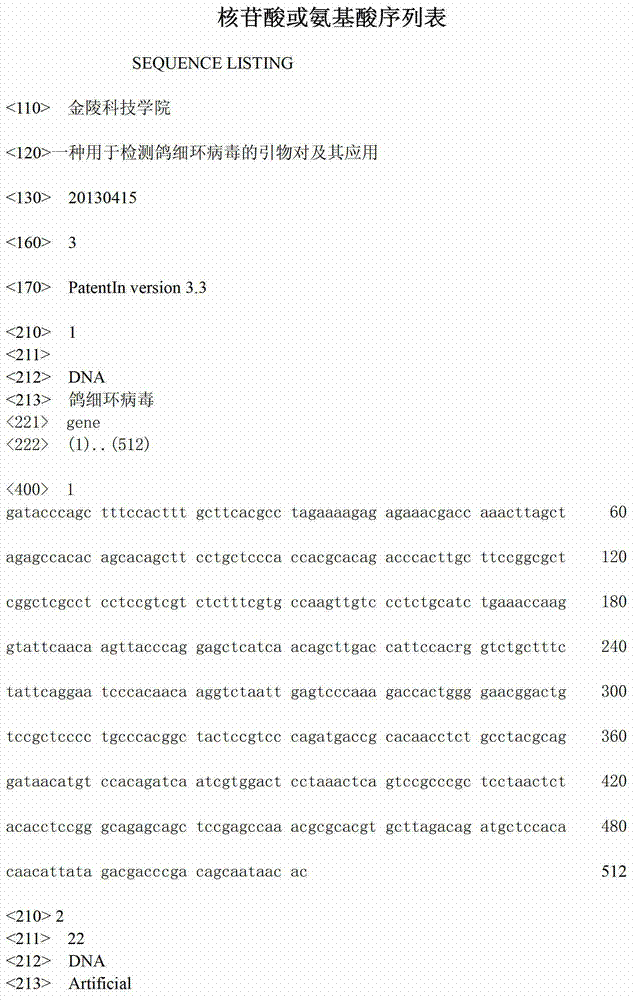 Primer pair for detecting pigeon torque teno viruses and application of primer pair