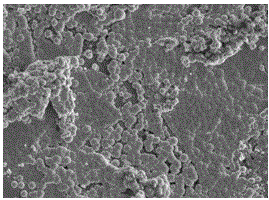 A kind of graphene nickel-phosphorus electroless plating solution and its preparation method and application