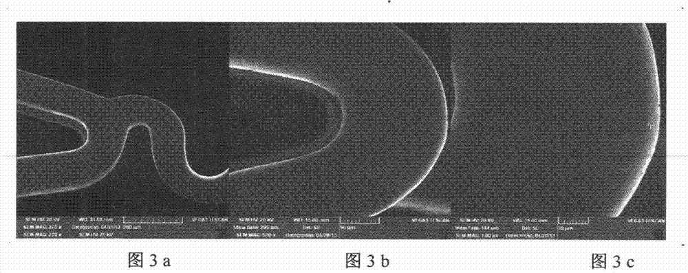 Preparation method of multi-coating drug eluting intravascular stent