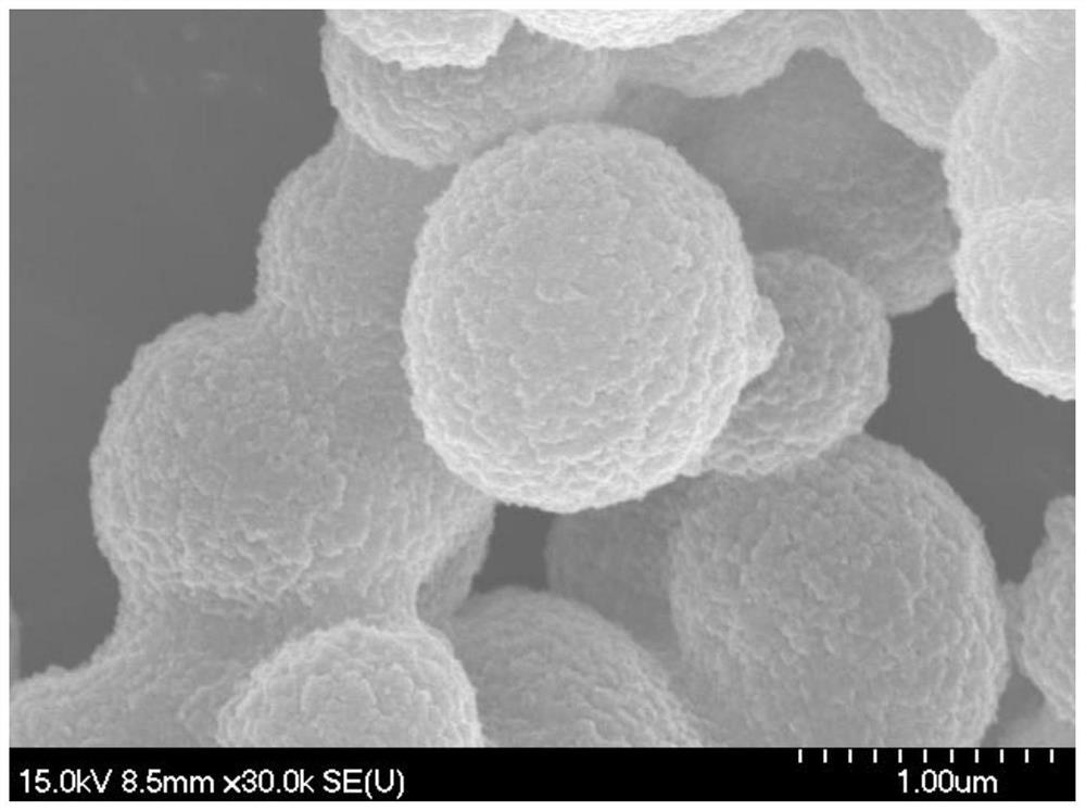 Hollow Fe2O3 coated carbon catalyst as well as preparation method and application thereof