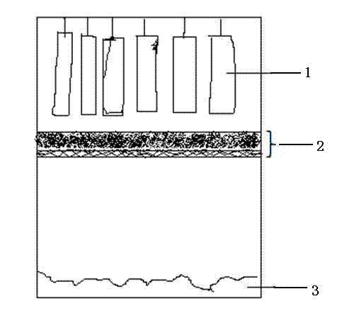 Method for processing Tujia smoked bacon