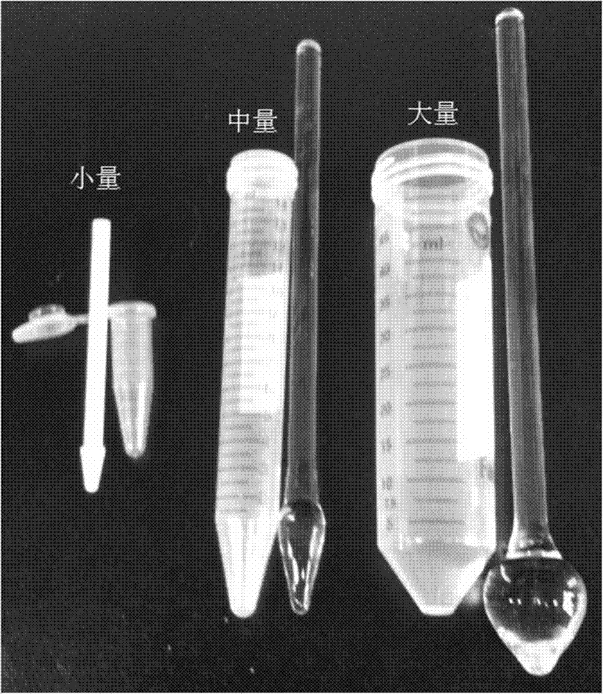 Cyanobacteria cell crushing method and device